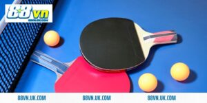 bóng bàn 88vn