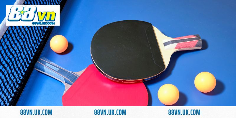 bóng bàn 88vn