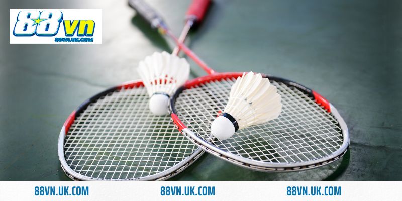 Cầu Lông 88vn